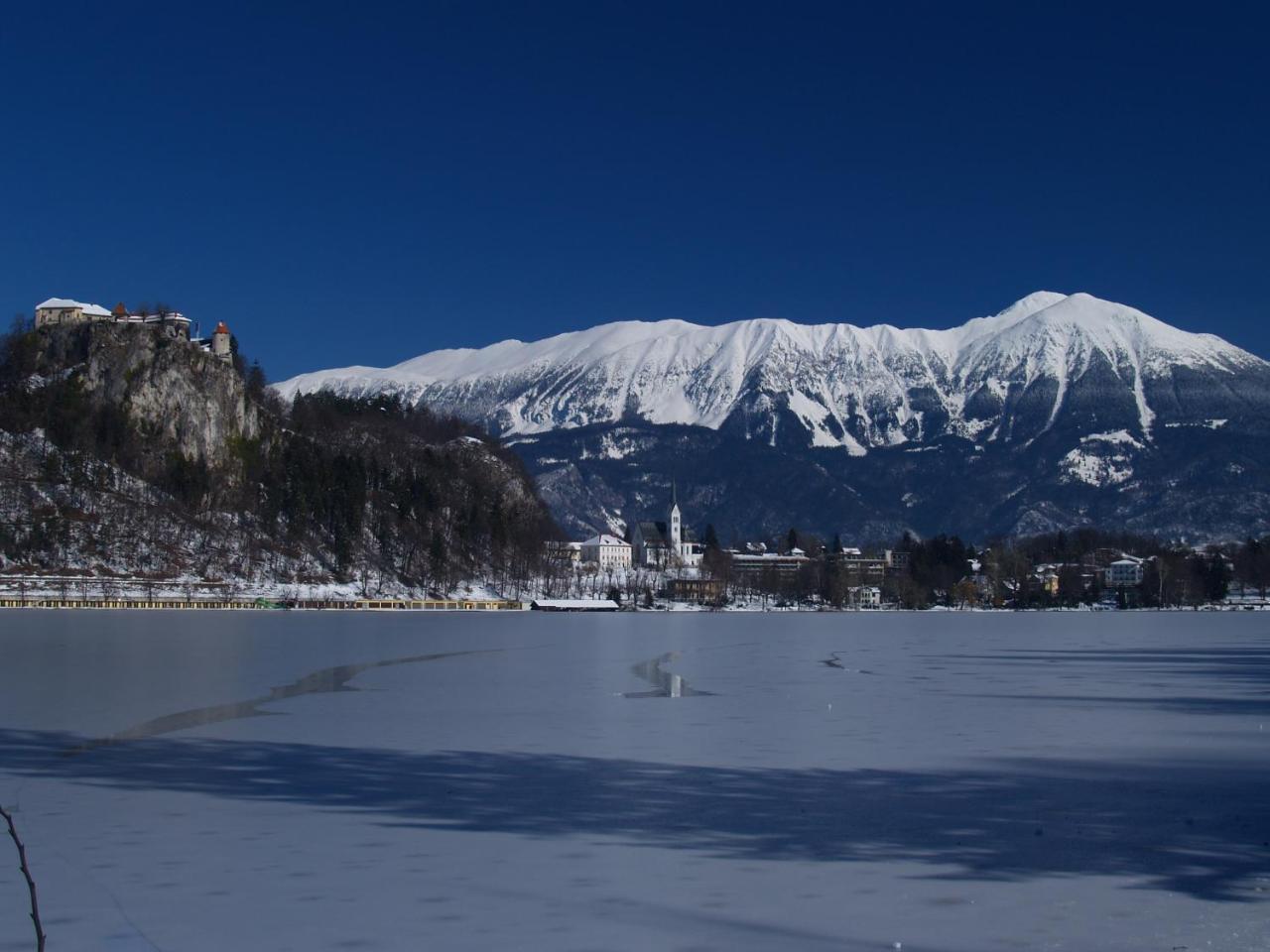 Holiday Home Katricnek Bohinjska Bela Buitenkant foto